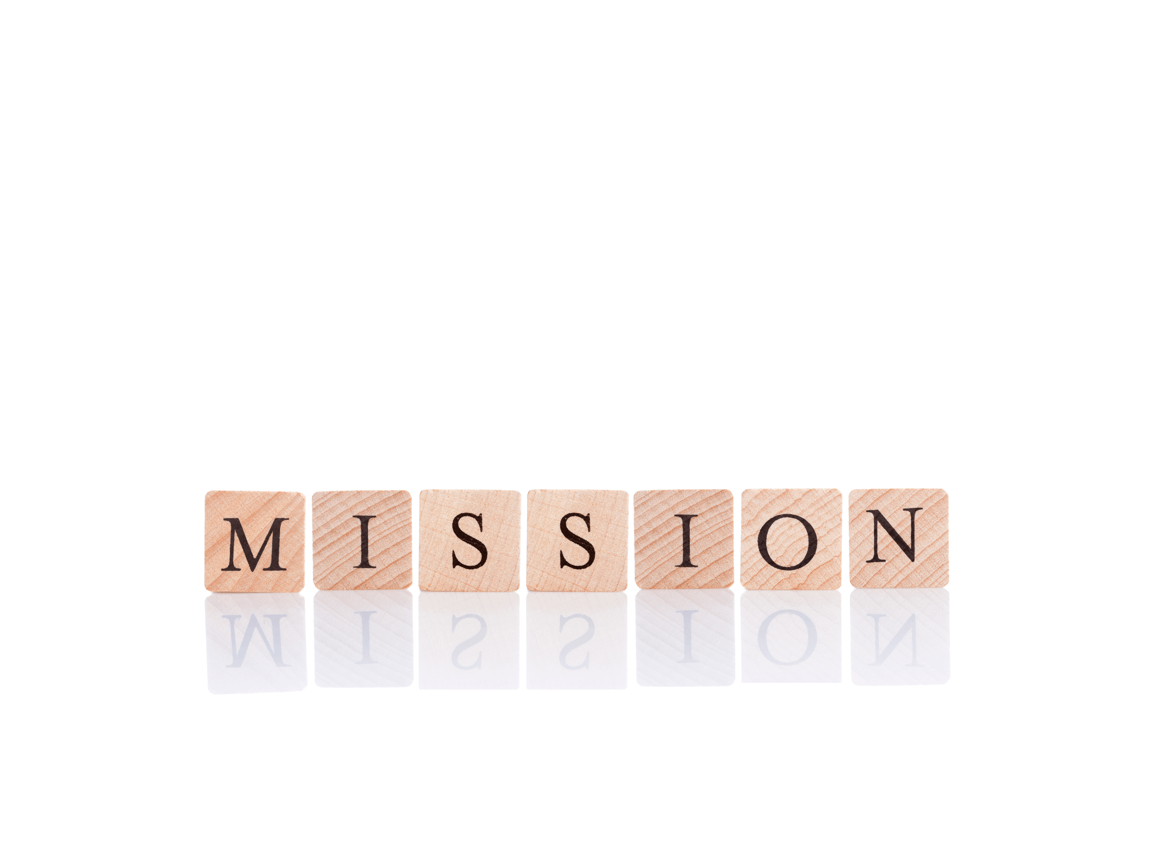 Mission Statement